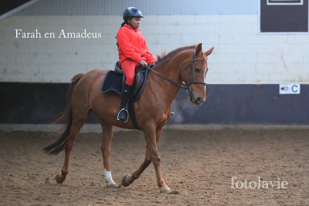 Paardrijlessen voor jong & oud Amadeus en Farah, pony en paardrijles manege De Hazelhorst, Den Ham Overijssel