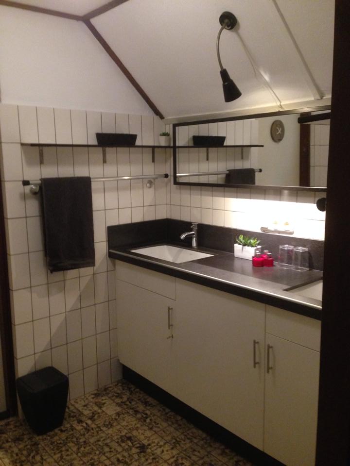 Badkamer van bed and breakfast De Hazelhorst Den Ham, Overijssel