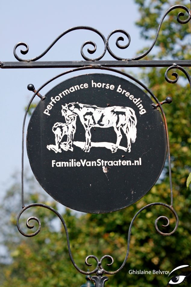 Paard & Bed De Hazelhorst van de familie Van Straaten