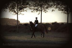 Gevorderden les