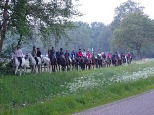 buitenrit